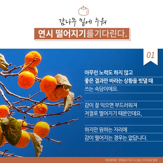 알고보면 더 재미있는 우리 속담