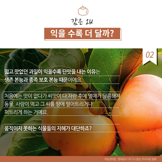 알고보면 더 재미있는 우리 속담