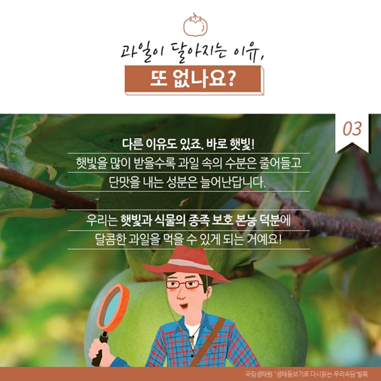 알고보면 더 재미있는 우리 속담