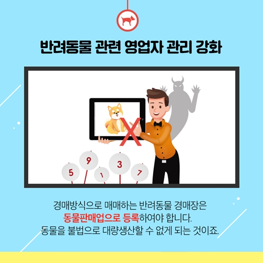 알아두면 쓸모있는 동물보호법 시행규칙