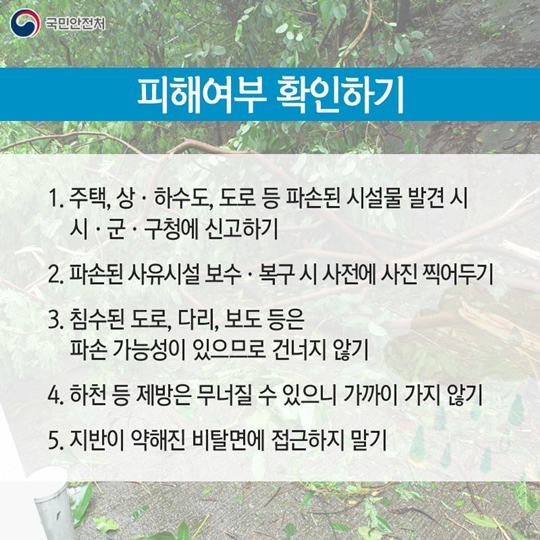 폭우가 쏟아진 뒤 어떻게 대처해야 할까요