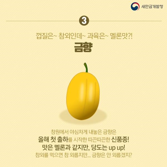 여름철 이색 과일 알아보기