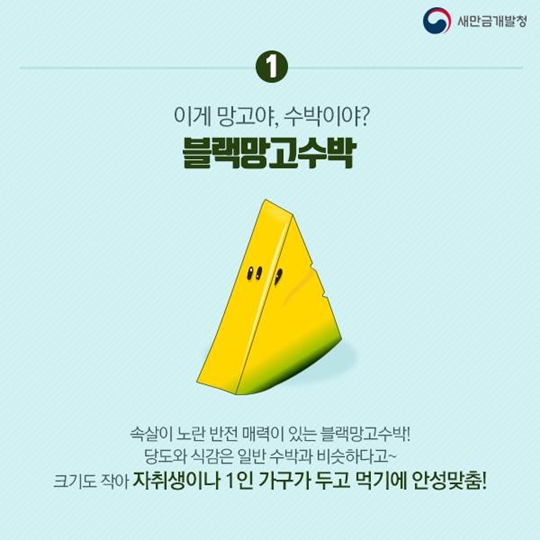 여름철 이색 과일 알아보기
