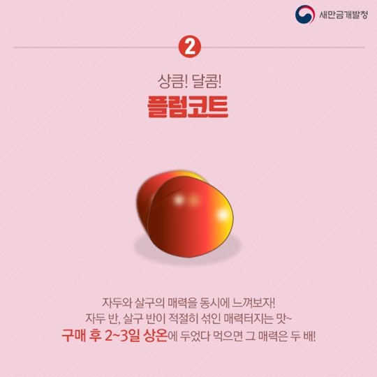 여름철 이색 과일 알아보기