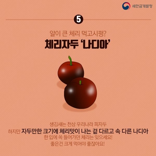 여름철 이색 과일 알아보기