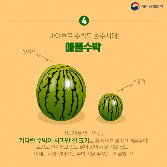 여름철 이색 과일 알아보기