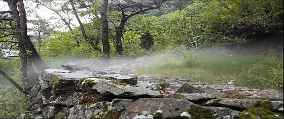 정선군 풍혈(얼음골) 지역에서 냉기가 흘러나오는 모습. 