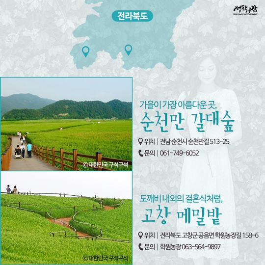 사진 보정 필요 없는 셀프웨딩 스냅 촬영 명소 18곳