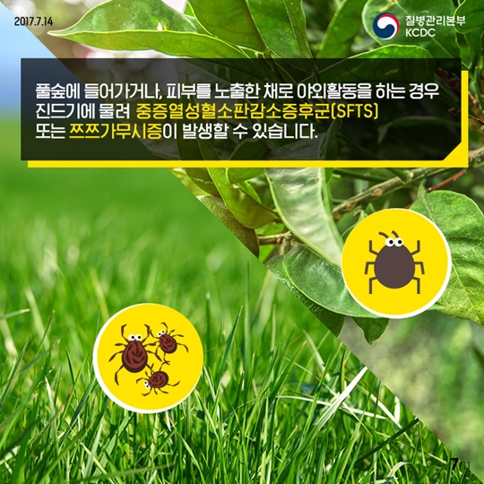 휴가지감염병예방