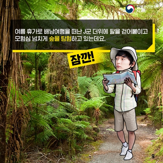 휴가지감염병예방