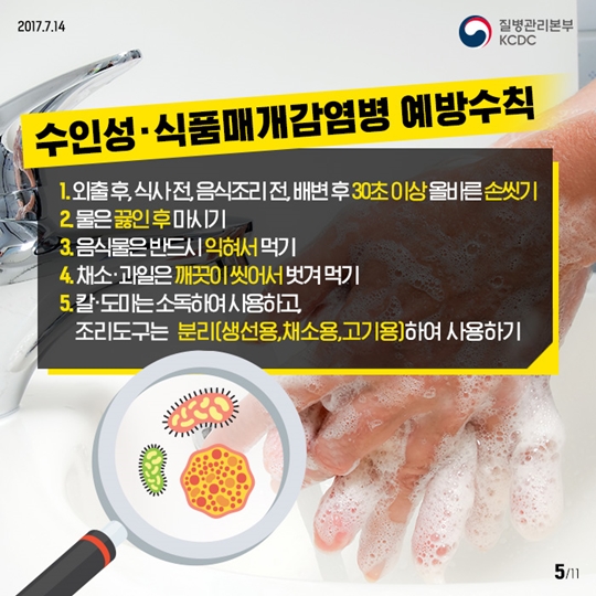 휴가지감염병예방