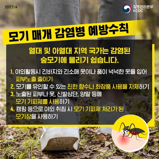 휴가지감염병예방
