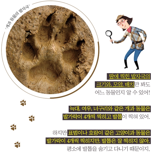 신비한 생태사전!
