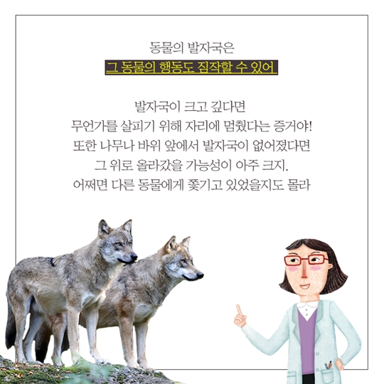 신비한 생태사전!