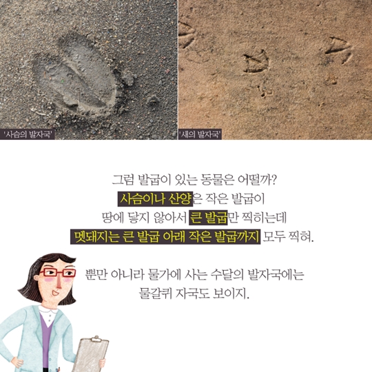 신비한 생태사전!