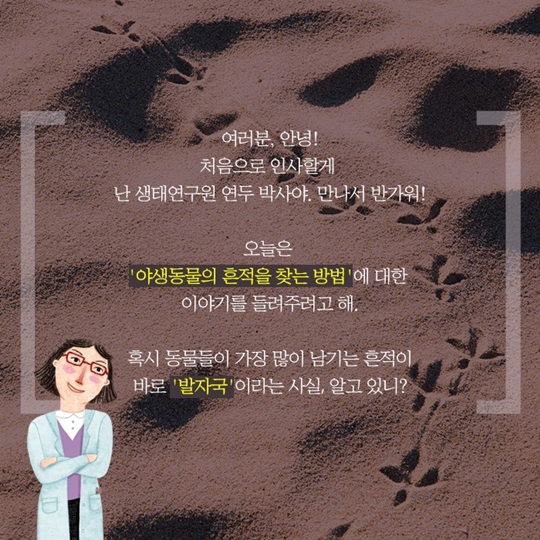 신비한 생태사전!