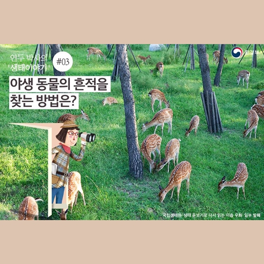 신비한 생태사전!