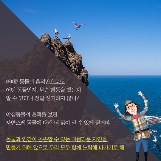 신비한 생태사전!