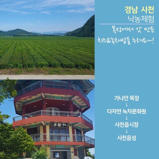 여름휴가 어디가?