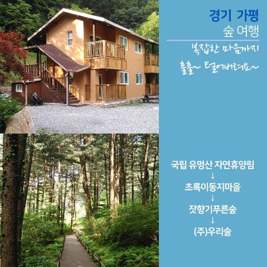 여름휴가 어디가?