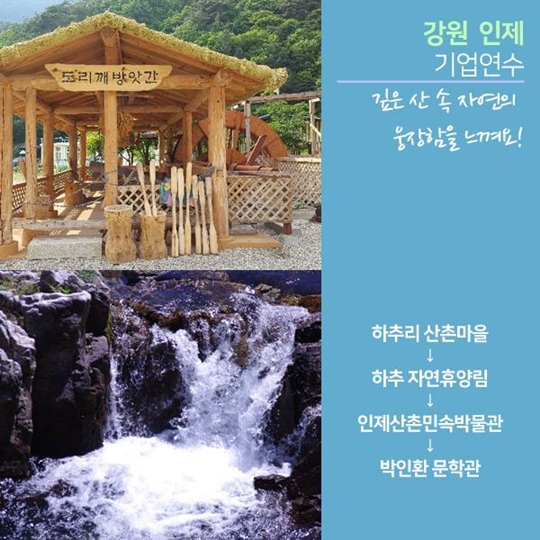 여름휴가 어디가?