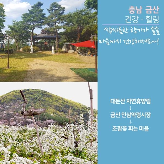 여름휴가 어디가?
