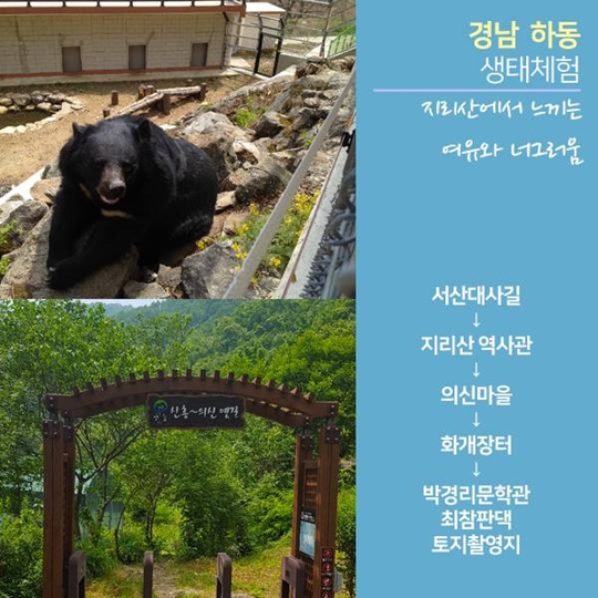 여름휴가 어디가?