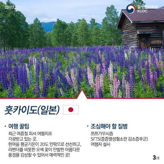 올 여름 해외 여행지 추천 및 감염병 예방법