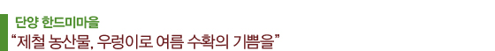 단양 한드미마을 “제철 농산물, 우렁이로 여름 수확의 기쁨을”