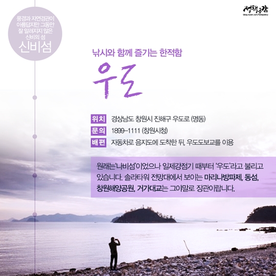 설레는 다섯 가지 테마의 섬