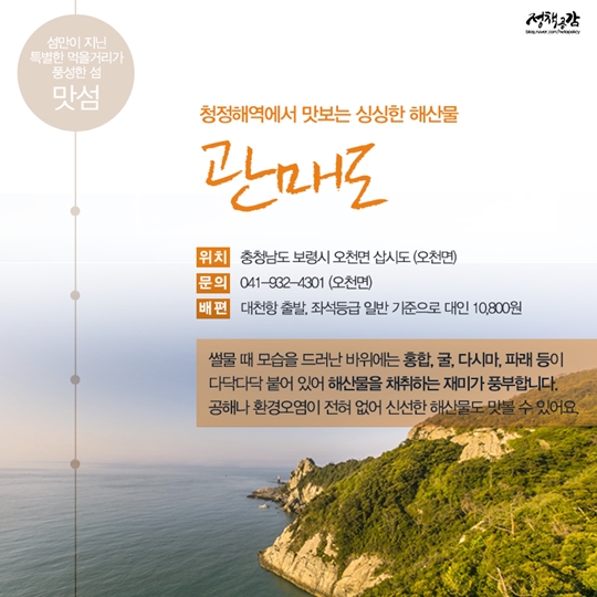 설레는 다섯 가지 테마의 섬