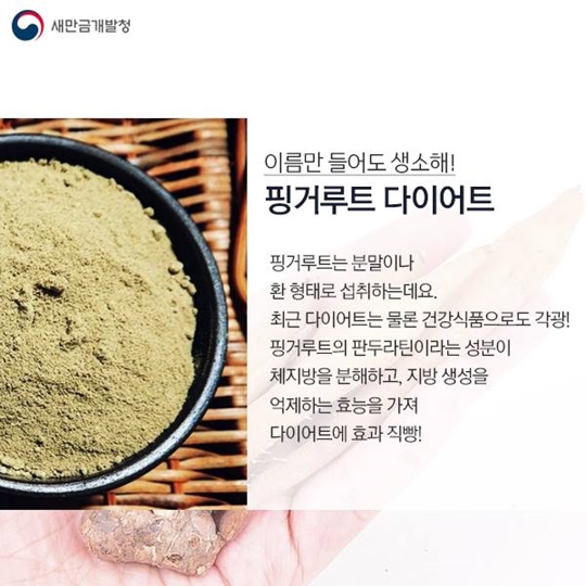 만금이와 함께하는 이색 다이어트