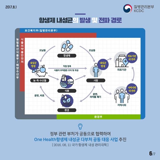 세균의 역습
