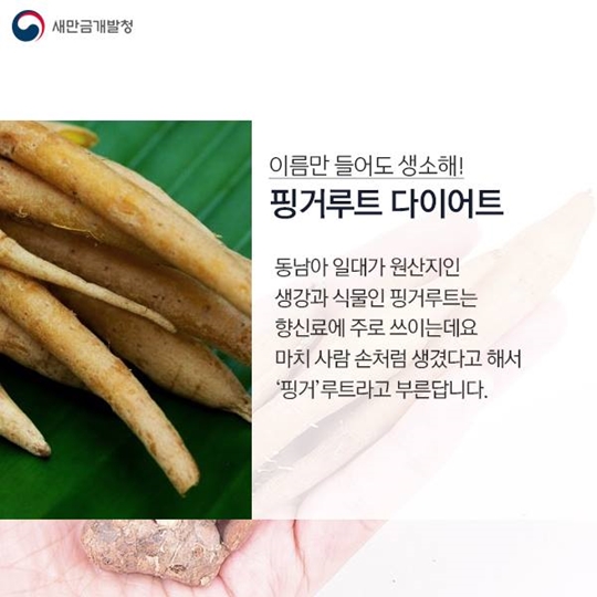 만금이와 함께하는 이색 다이어트