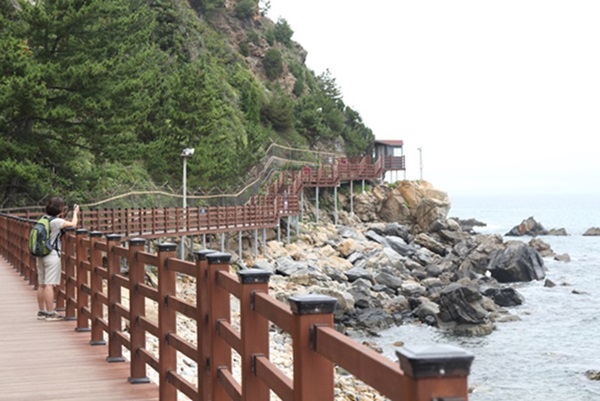바다부채길 해안 산책로.