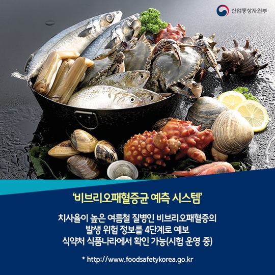 우리나라에만 있는 이색 예보제