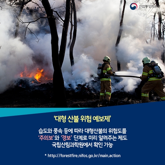 우리나라에만 있는 이색 예보제