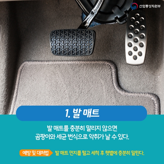 여름철 자동차 악취 원인 여기에 있었네
