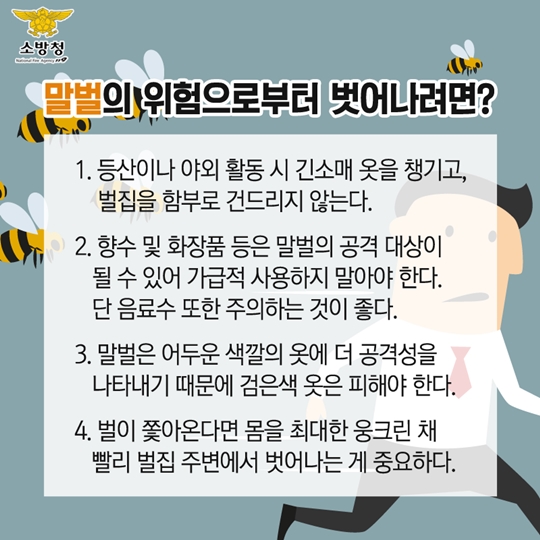 말벌과의 전쟁 어떻게 대처해야 할까