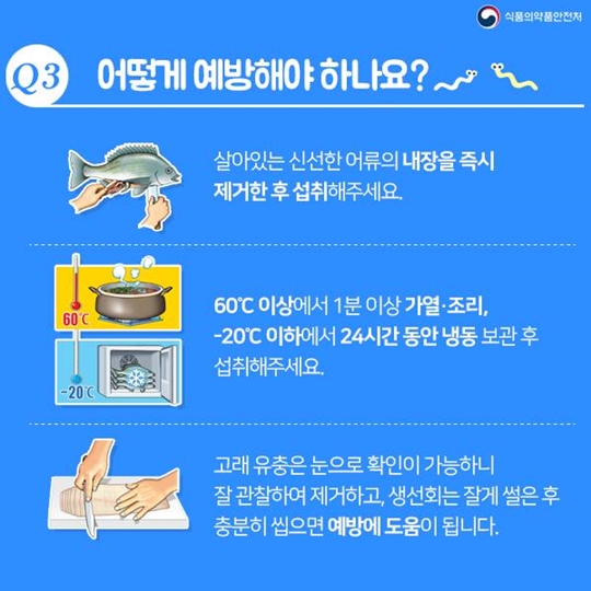 고래회충, 어디까지 알고있니