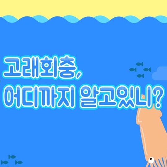 고래회충, 어디까지 알고있니