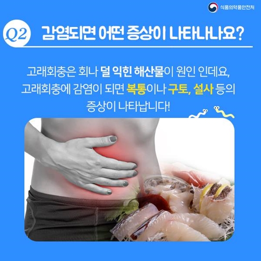 고래회충, 어디까지 알고있니