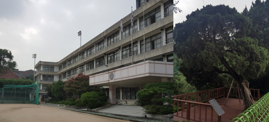 선린인터넷고등학교(좌)의 모습과 선린상업학교에 고종황제가 하사한 어사목 향나무(우).