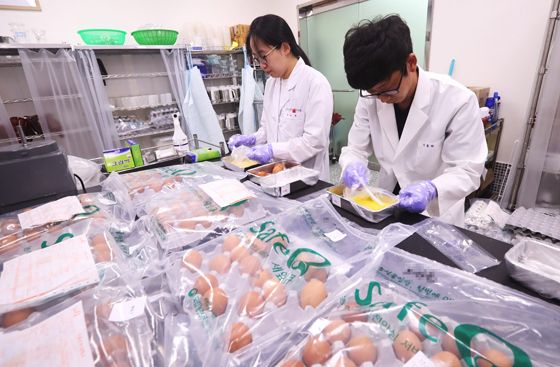 살충제 계란 파장이 계속되고 있는 16일 오전 경기도 안양시 만안구 국립농산물품질관리원 경기지원 분석실에서 관계자들이 계란을 검사하고 있다. (사진=저작권자(c) 연합뉴스, 무단 전재-재배포 금지)