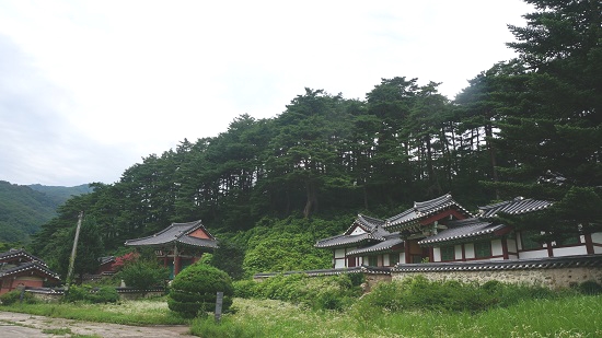 올림픽 아리바우길 제8코스 시작점인 명주군왕릉의 부속 건물인 상왕사, 숭의재의 전경
