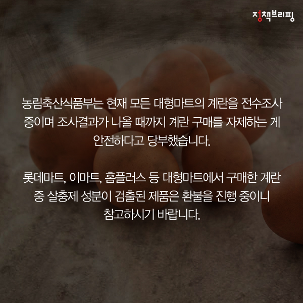 냉장고 속 계란, ‘이것’ 표시 확인하세요!