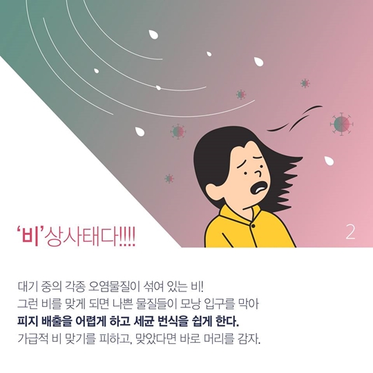 탈모 방지 꿀팁 다섯가지