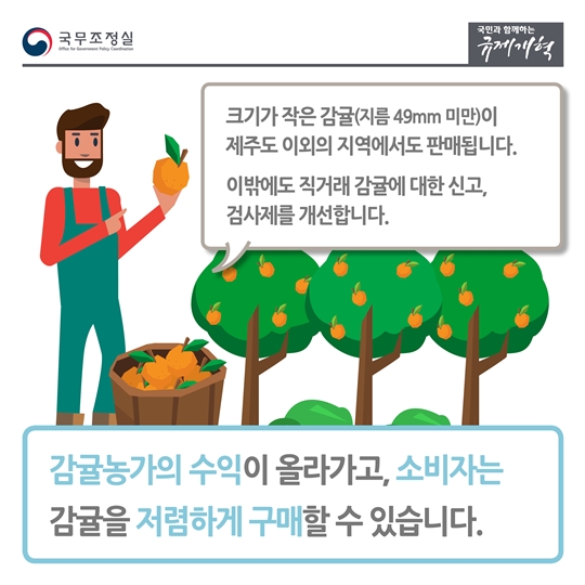 경쟁제한적 규제
