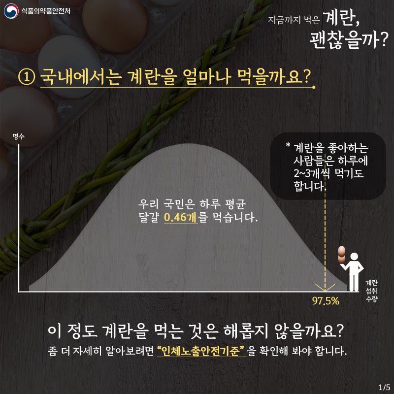 지금까지 먹은 계란, 괜찮을까?