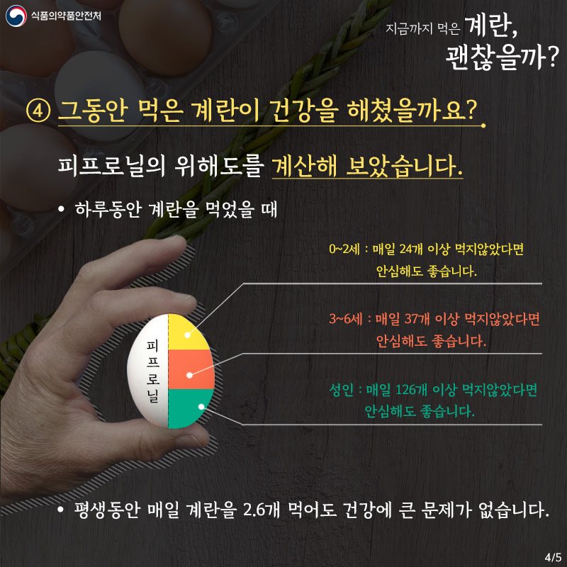 지금까지 먹은 계란, 괜찮을까?